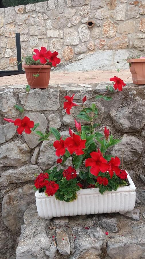 Appartamento In Collina Фонди Экстерьер фото