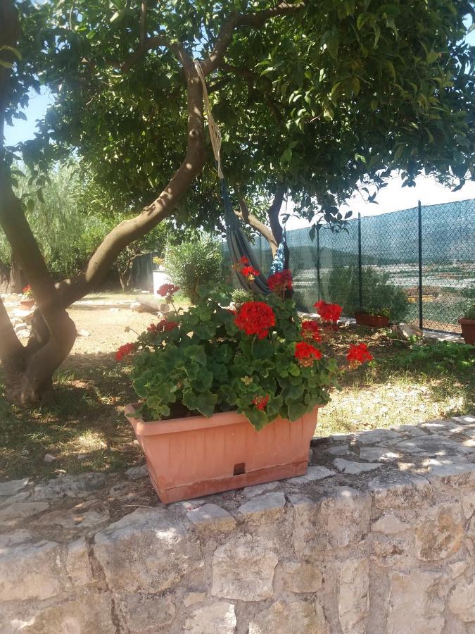 Appartamento In Collina Фонди Экстерьер фото